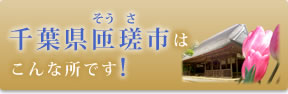 千葉県匝瑳市はこんな所です！