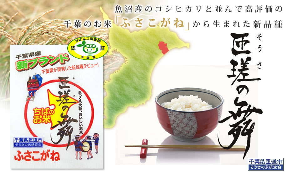 魚沼産のコシヒカリと並んで高評価の千葉のお米「ふさこがね」から生まれた新品種　匝瑳の舞＜匝瑳の舞＞